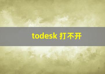 todesk 打不开